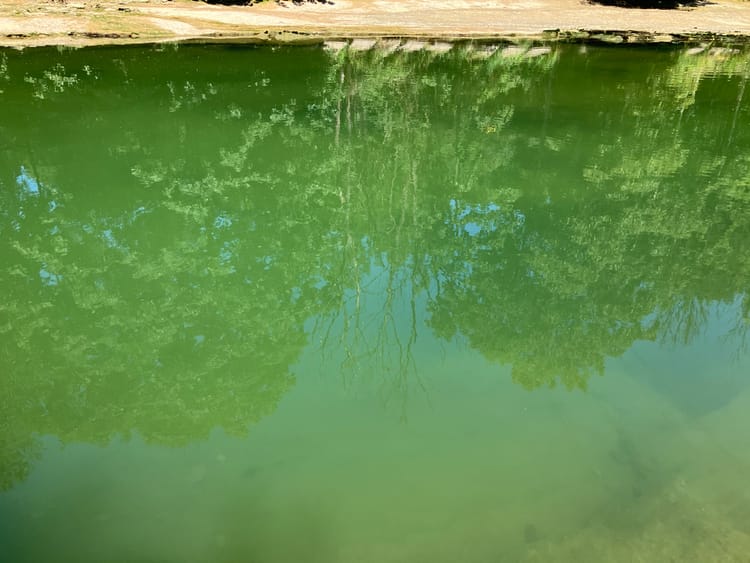 Am anderen Ende des Spektrums