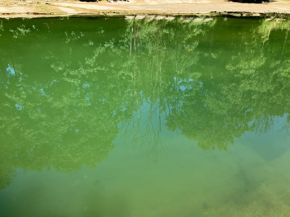 Am anderen Ende des Spektrums